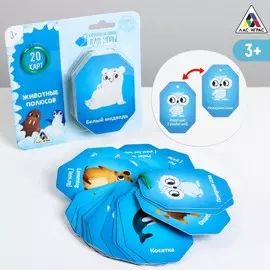 Карточки на кольце для изучения английского языка