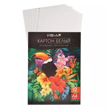 Картон белый а4, 10 листов двусторонний, мелованный, блок 230 г/м2, extra белизна