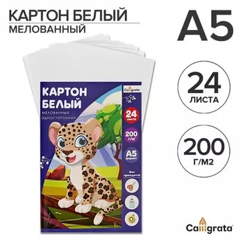 Картон белый а5, 24 листа calligrata, мелованный, плотность 200 г/м2, в папке