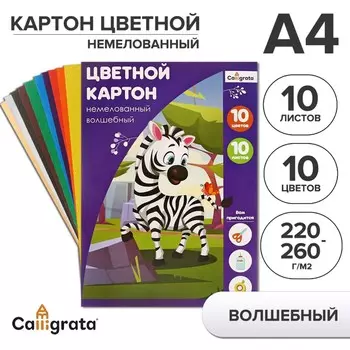 Картон цветной а4, 10 листoв, 10 цветов, волшебный (золото+серебро) calligrata, немелованный 220-260 г/м2, в папке