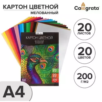 Картон цветной а4, 20 листов, 20 цветов, волшебный (золото+серебро) calligrata top, мелованный 200 г/м2, в папке