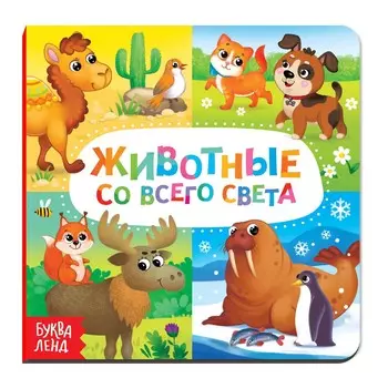 Картонная книга