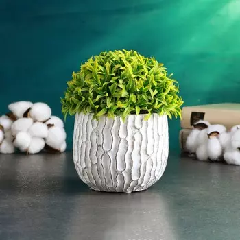 Кашпо для цветов