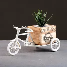 Фигурное кашпо для цветов