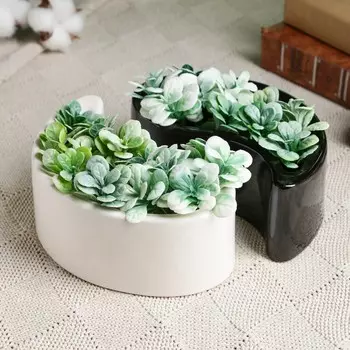 Кашпо инь-янь 0,45л 5,5см черно-белый