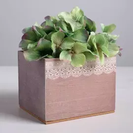 Кашпо квадрат одиночное без ручки