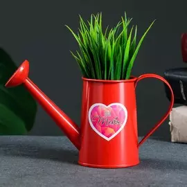 Кашпо - лейка