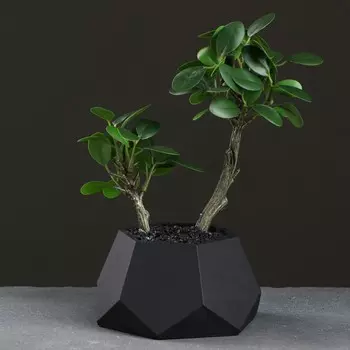 Кашпо шестиугольник 13 х 7,5 см черный