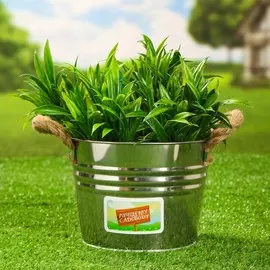 Кашпо-ведерко