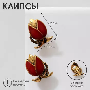 Клипсы