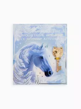 Ключ сувенирный новогодний