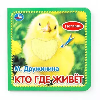 Книга Дружинина, Умка 9785506031246
