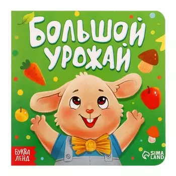 Книга картонная