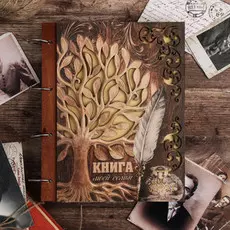 Книга моей семьи