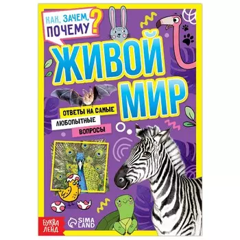 Книга обучающая
