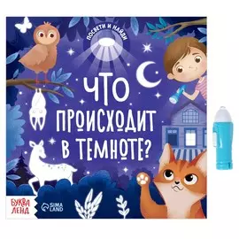 Книга с фонариком