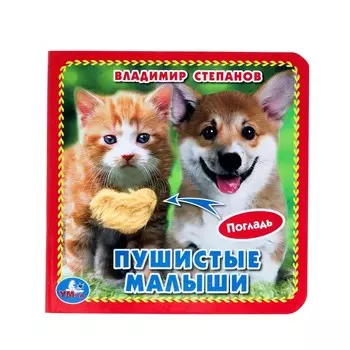 Книга Степанов В