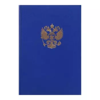 Книга учета, 96 листов, обложка бумвинил, блок офсет, клетка, цвет синий, герб (тиснение золотой фольгой)