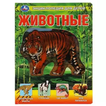 Книга Умка 9785506038085