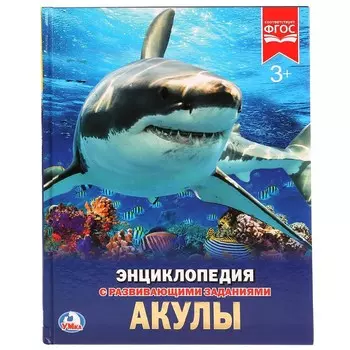 Книга Умка 978-5-506-02285-5