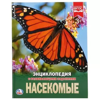Книга Умка 978-5-506-02334-0