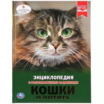 Книга Умка 978-5-506-02698-3