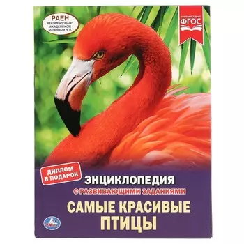 Книга Умка 978-5-506-04304-1