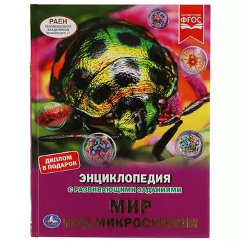 Книга Умка 978-5-506-05026-1