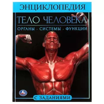 Книга Умка 978-5-506-06178-6