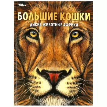 Книга Умка 978-5-506-07164-8