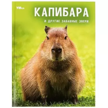Книга Умка 978-5-506-09105-9