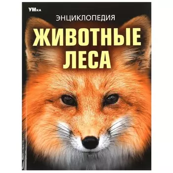 Книга Умка 978-5-506-09108-0