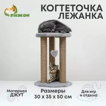 Когтеточка