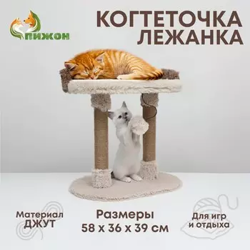 Когтеточка