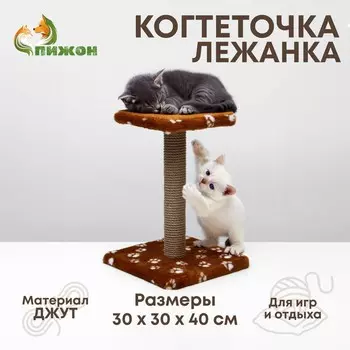 Когтеточка