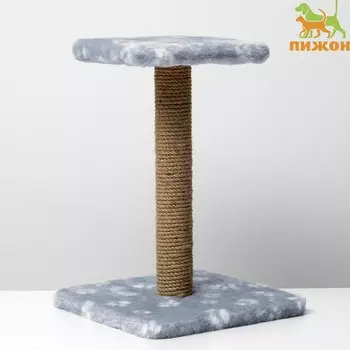 Когтеточка