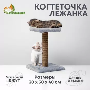 Когтеточка