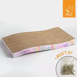 Когтеточка из картона с кошачьей мятой