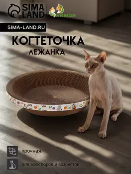 Когтеточка-лежанка