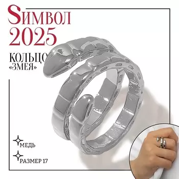 Кольцо металл