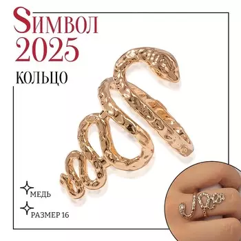 Кольцо металл