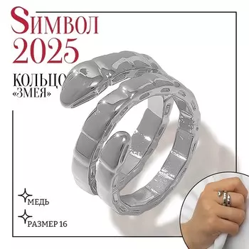 Кольцо металл