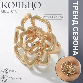 Кольцо металл