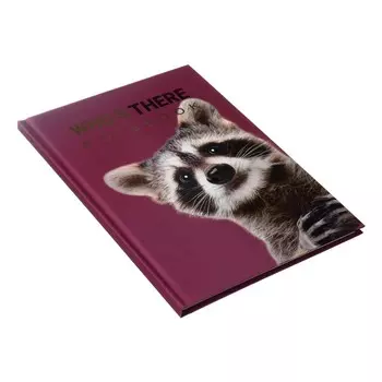 Колледж-тетрадь в твердой обложке 7бц, а5, 64 листа, енотик, блок в клетку, глянцевая ламинация, тиснение фольгой