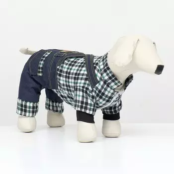 Комбинезон men, размер l (дс 35 см, ог 45 см, ош 35 см), синий