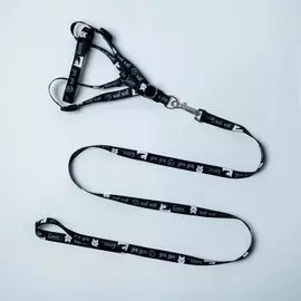 Комплект grrr...wof, шлейка 36-49 см, поводок 120х1.5 см