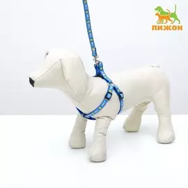 Комплект амуници