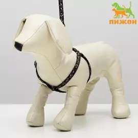 Комплект амуниции