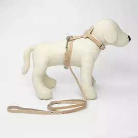 Комплект амуниции