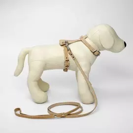 Комплект амуниции